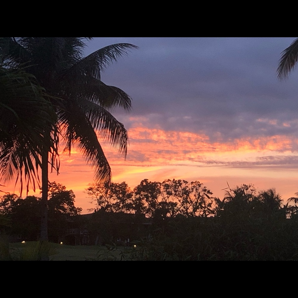 Meet your Posher, George